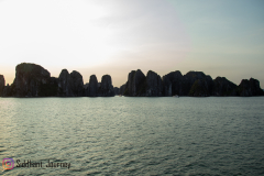 5-IMG_9189
