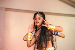 INDIA AUSTRALIA FAIR-12