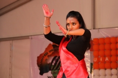 INDIA AUSTRALIA FAIR-14