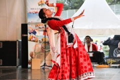 INDIA AUSTRALIA FAIR-19