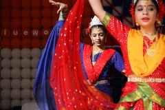 INDIA AUSTRALIA FAIR-5