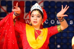 INDIA AUSTRALIA FAIR-8