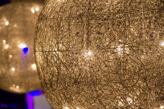 SALEEM-7