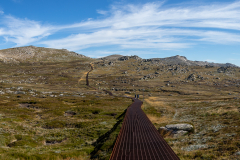 IMG_4689-Pano