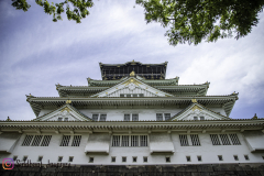 1-IMG_1094