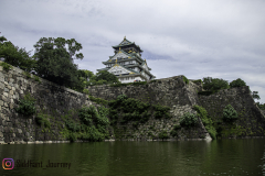 6-IMG_1193