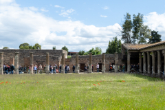 P-IMG_6390-Pano