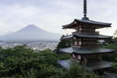 IMG_1296-Pano