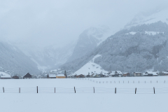 IMG_6213-Pano