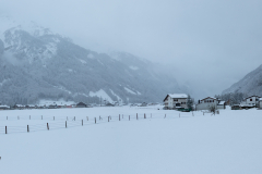 IMG_6218-Pano